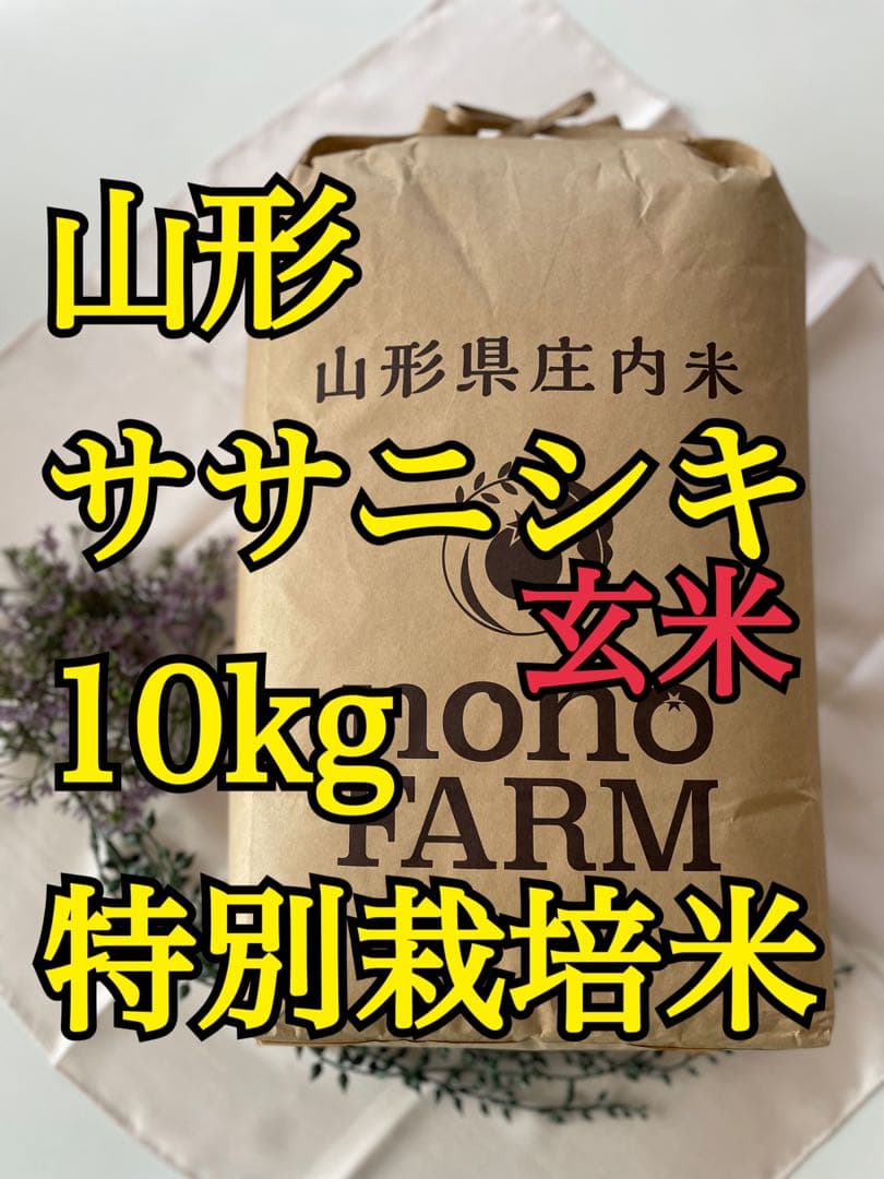 ササニシキ　玄米10kg 山形　令和7年　特別栽培米