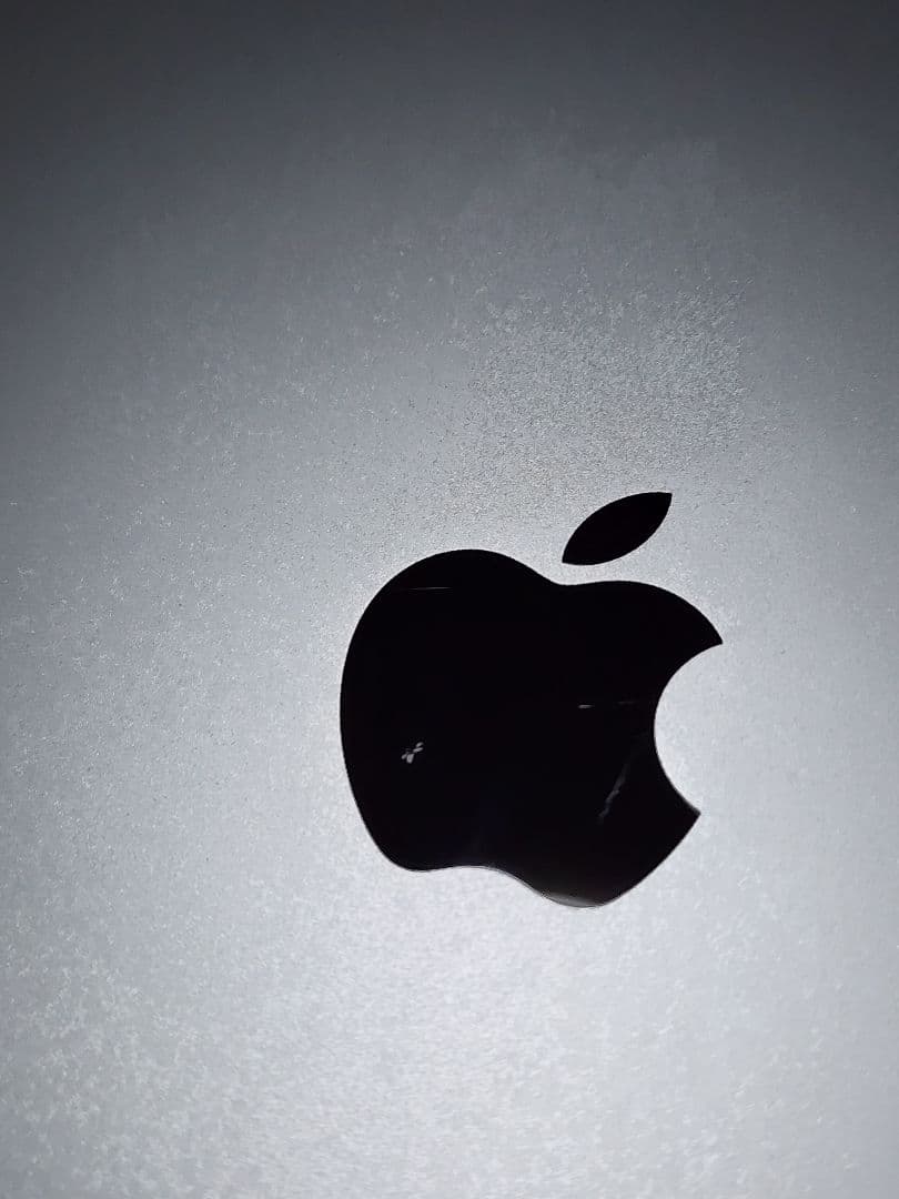 Apple iPad Pro 12.9インチ 第3世代 64GB スペースグレイ