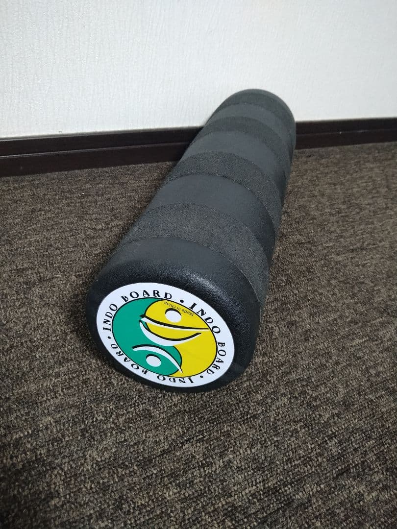 INDO BOARD マルチセット サーフィン スケボー スノーボード練習用