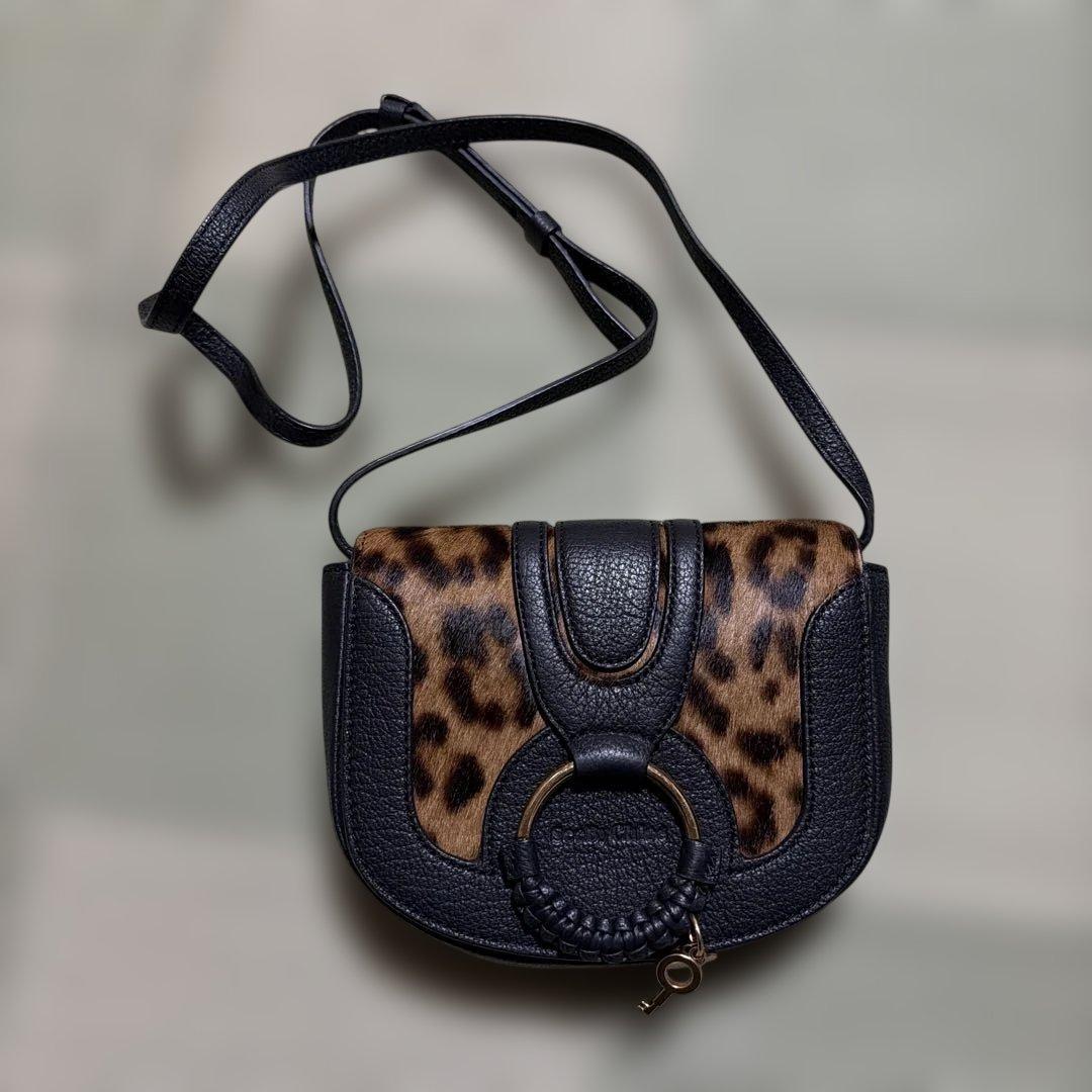 【美品】Chloe バッグ ショルダーバッグ