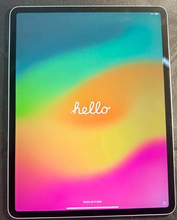 Apple iPad Pro 12.9 第3世代 Wi-Fi 256GB 本体