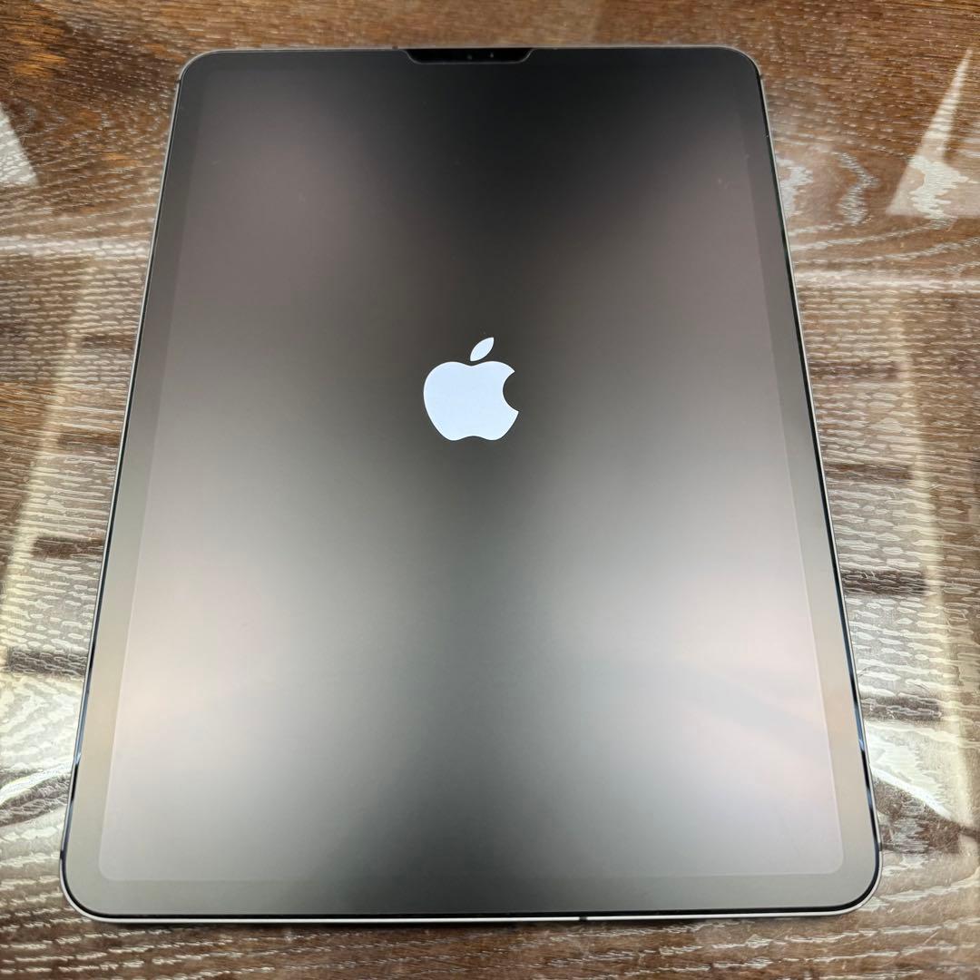 iPad Pro 11インチ 第1世代 256GB セルラー SIMフリー