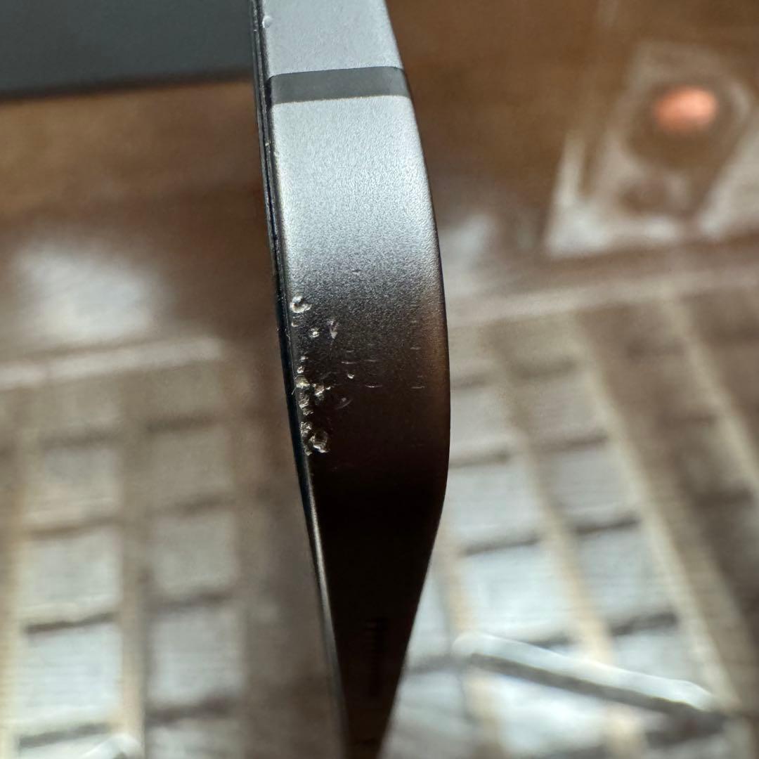 iPad Pro 11インチ 第1世代 256GB セルラー SIMフリー