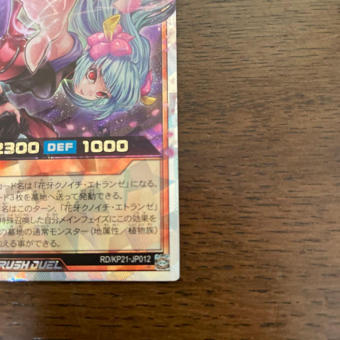 PMレノアール絵違い、花牙疾走のクノイチエトランゼ　ORR