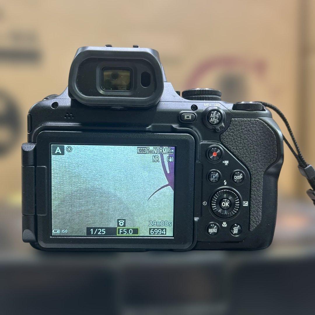 6452【極美品】Nikon ニコン COOLPIX P1000 SD32GB