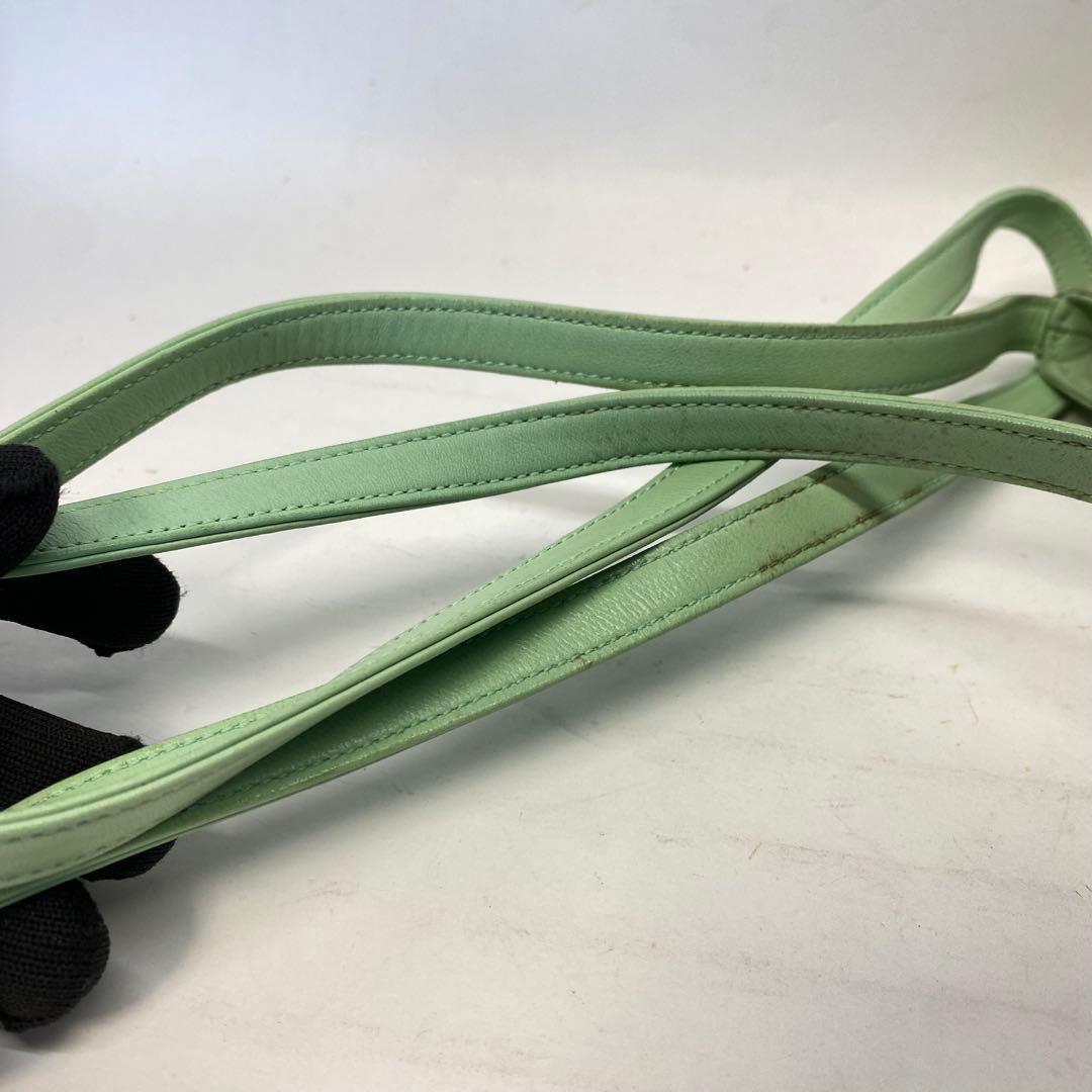 【希少カラー】ロエベ ショルダーバッグ ナッパレザー ミントグリーン アナグラム