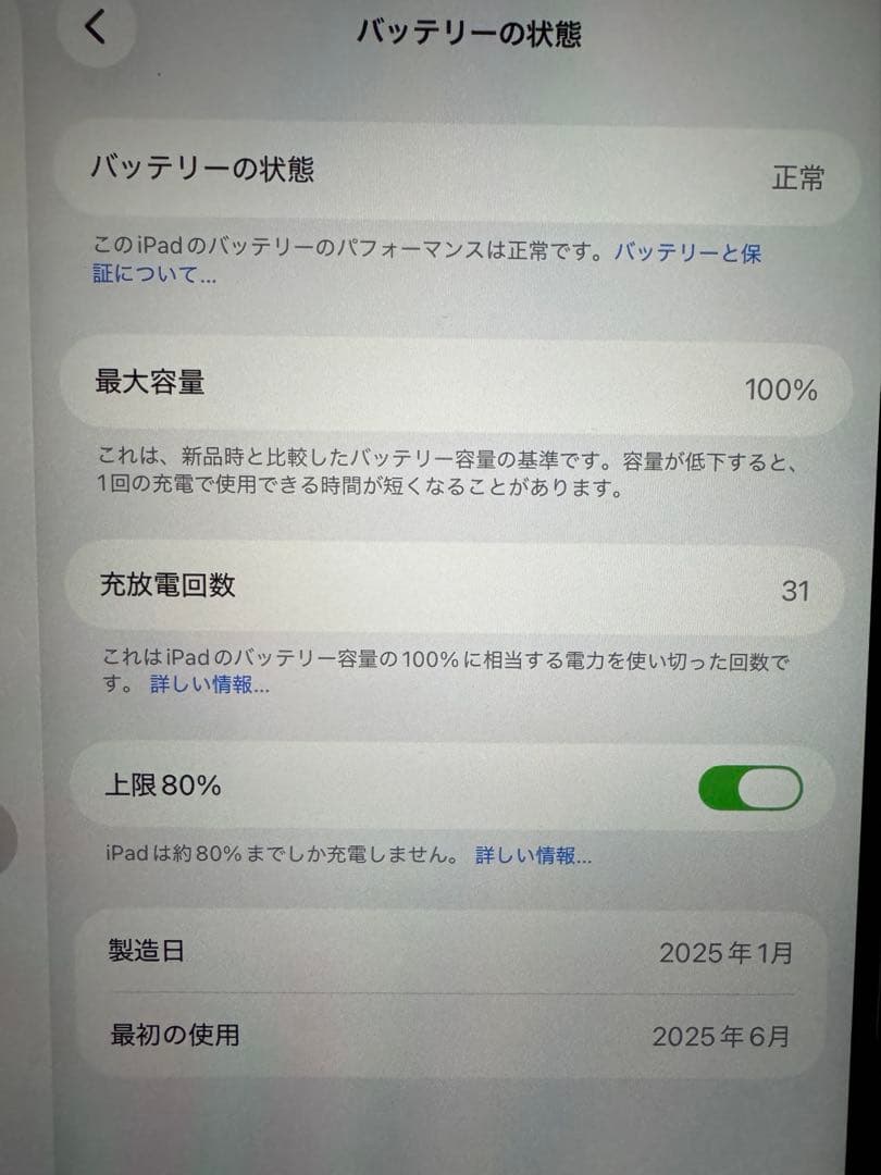 【バッテリー最大容量100%】 iPad Air M2 11インチ タッチペン