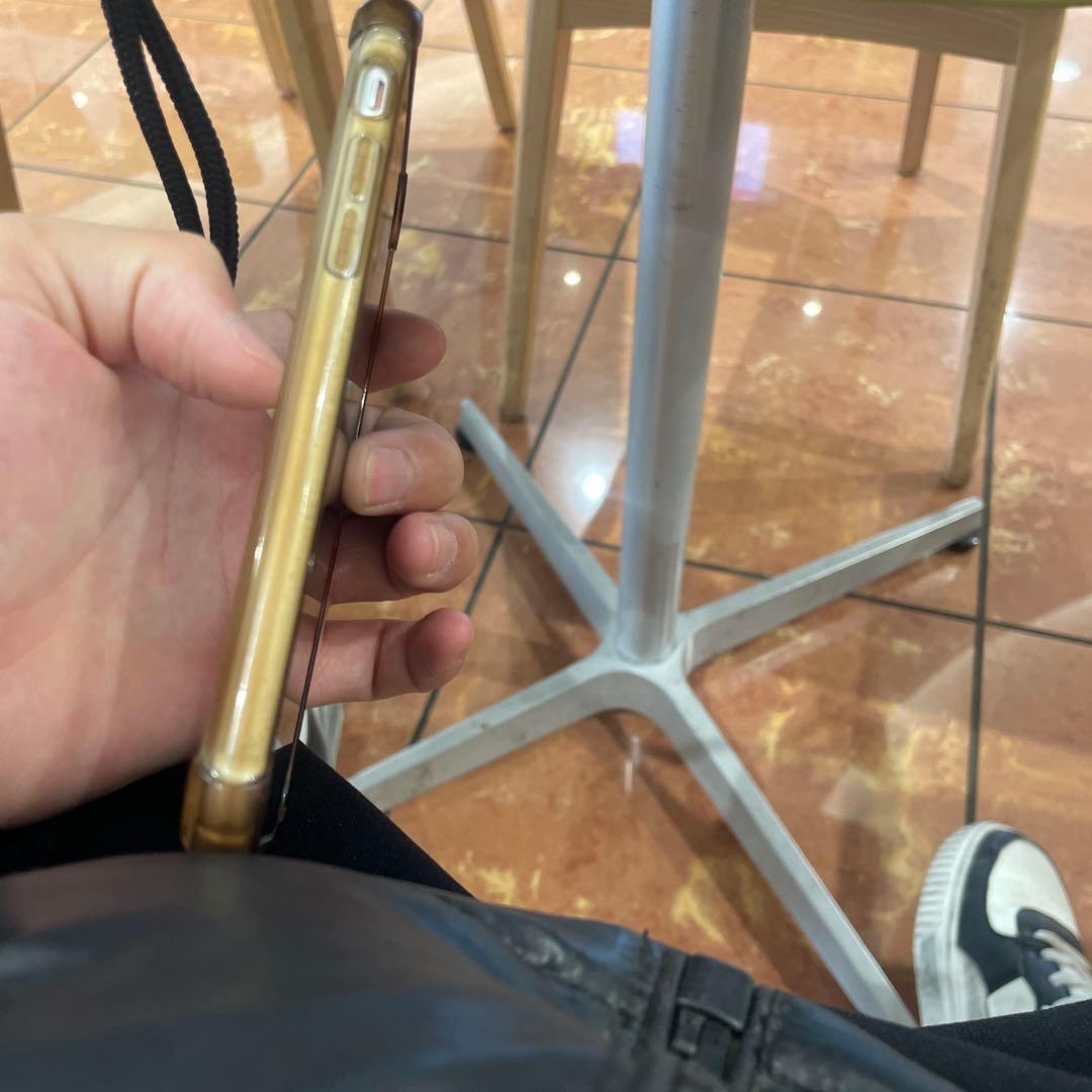 Apple iPhone SE本体