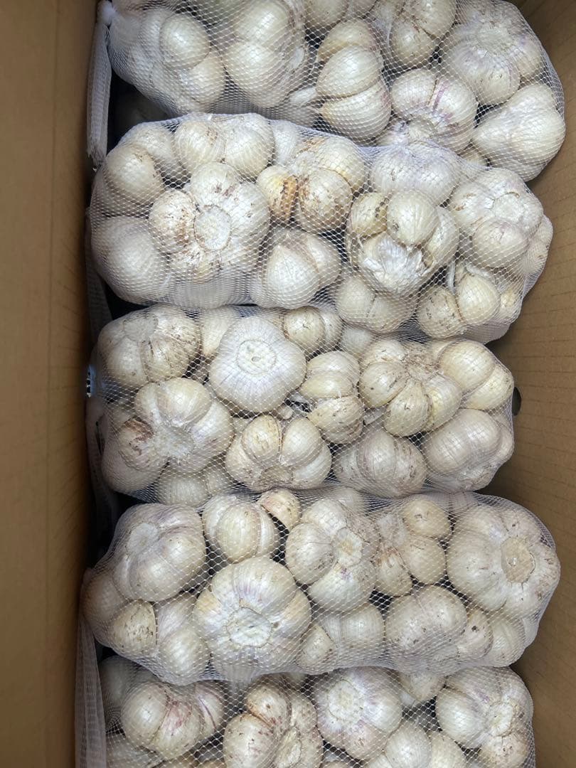 青森県農薬不使用福地ホワイトMサイズにんにく5キロ送料無料