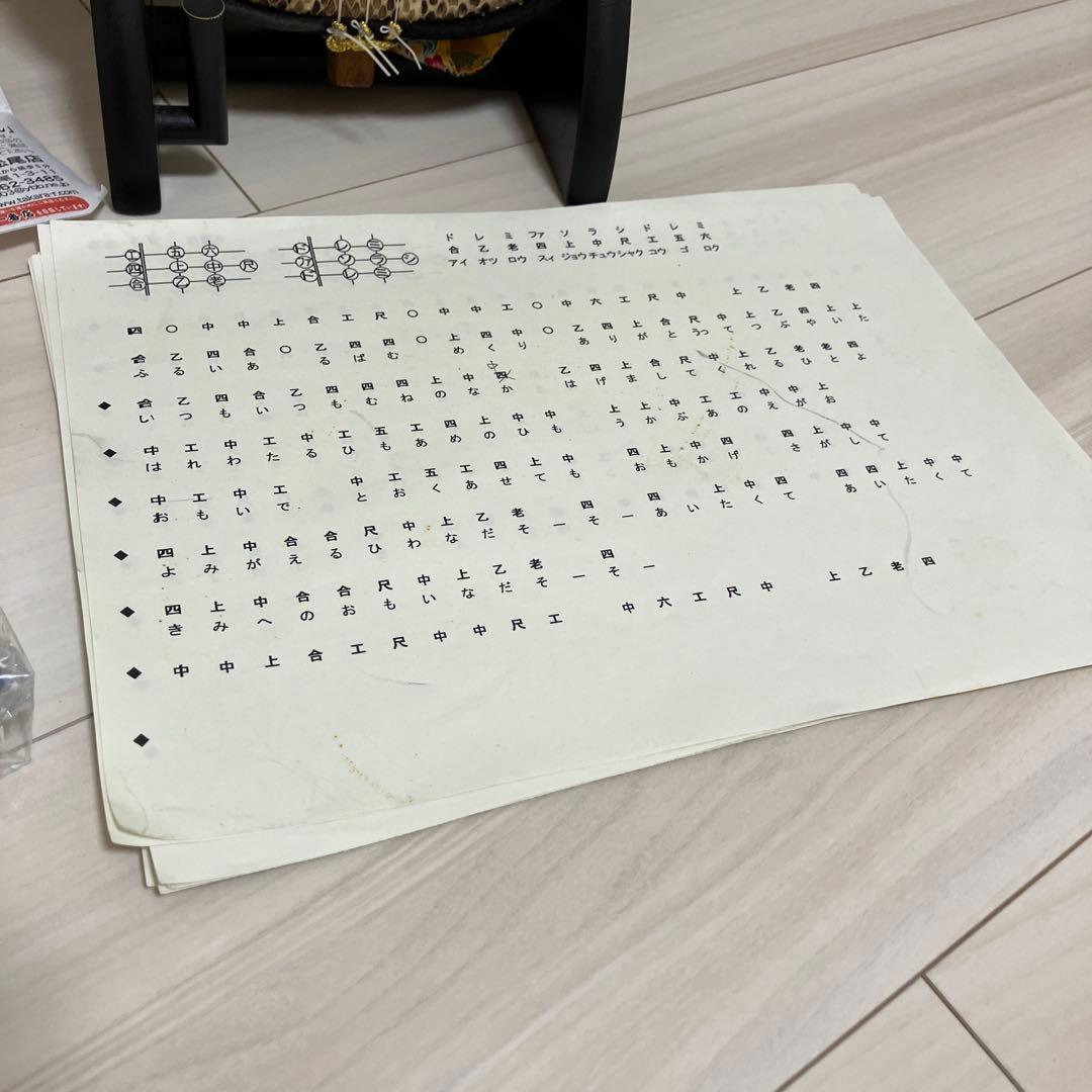 沖縄三線 蛇柄 三味線　和楽器 ハードケース　付属品セット