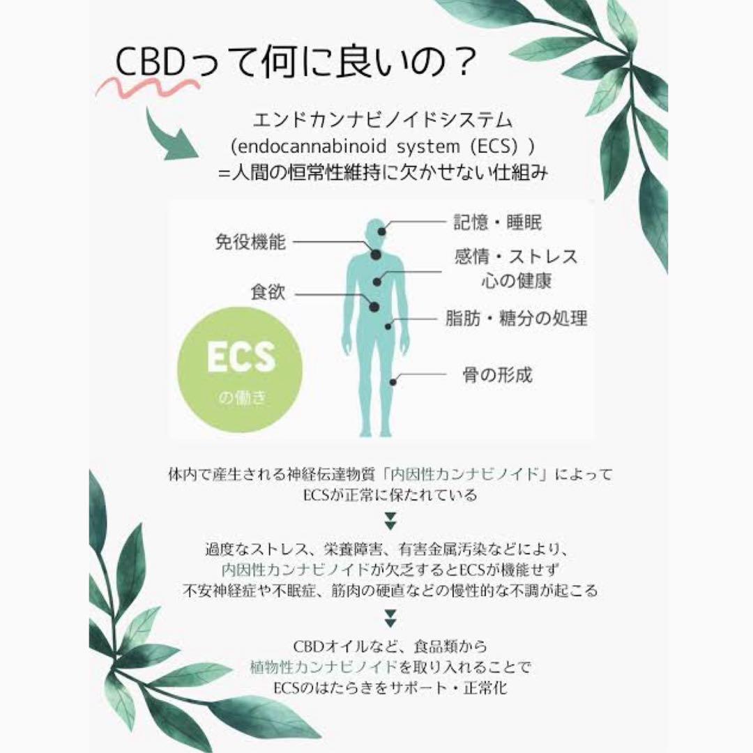 THXEリキッド1ml CBD CBP CBN CNP CBG CRD