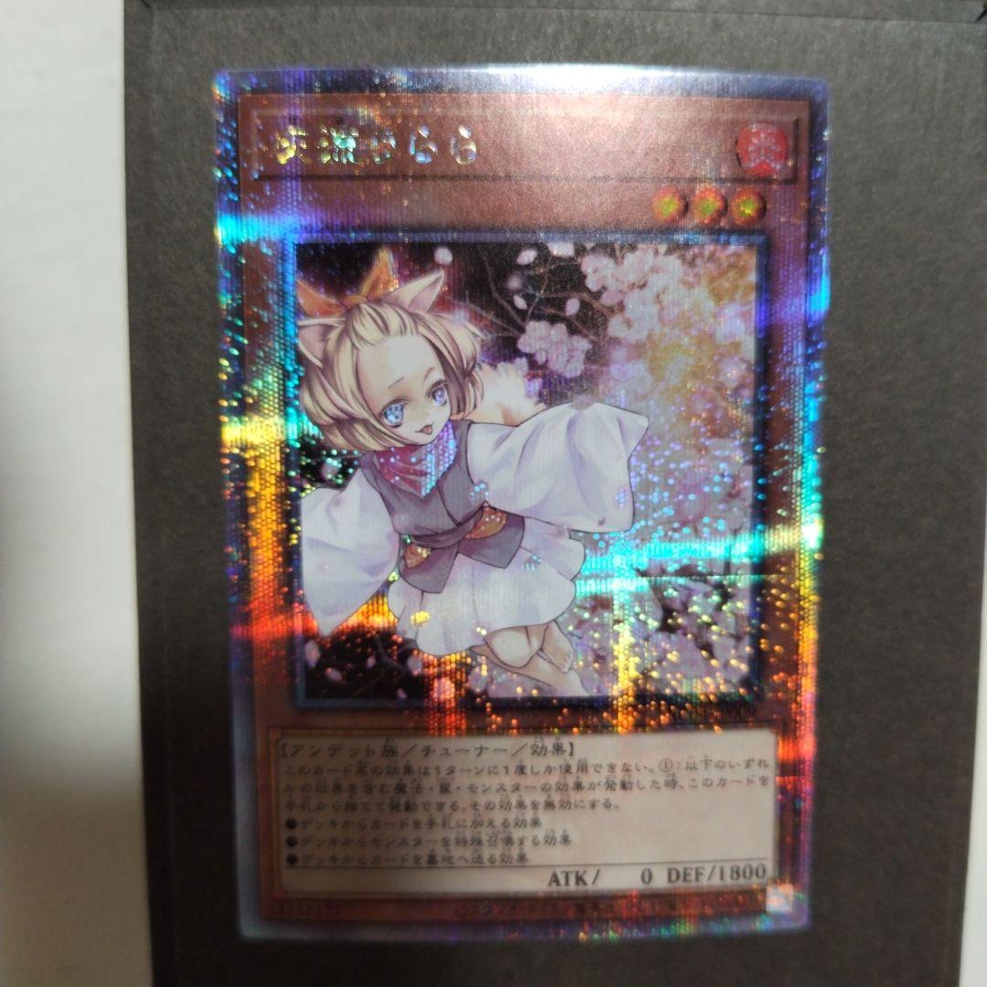 遊戯王　灰流うらら　25thシク　クオシク