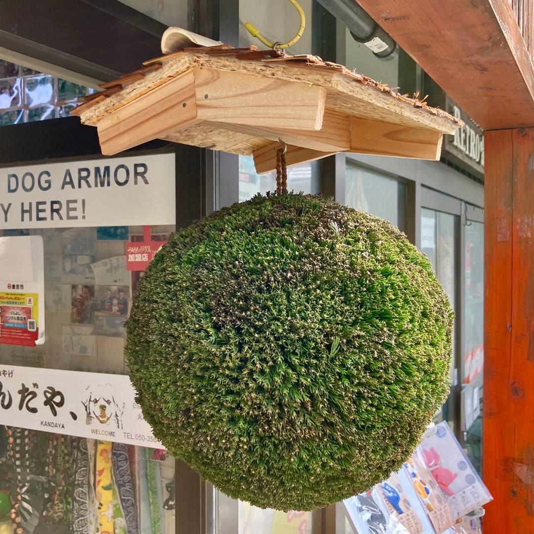 杉玉【屋根付き】②