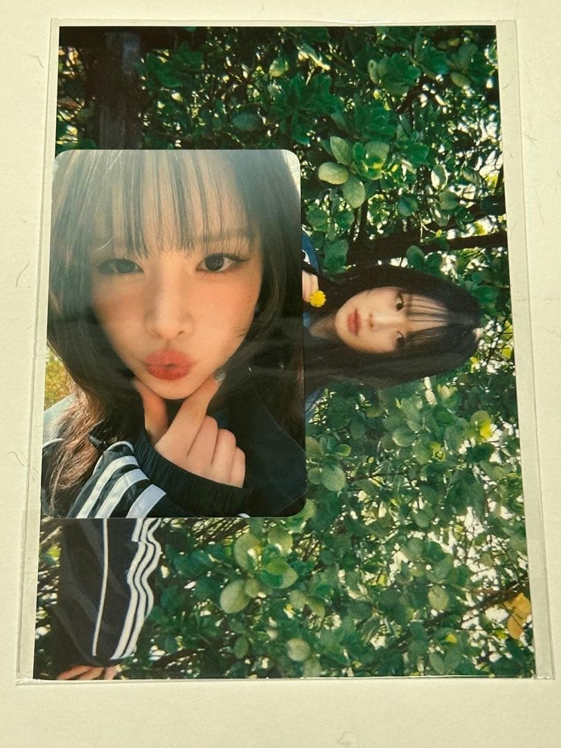 宇宙少女 WJSN ソラ トレカ ファンミ 韓国 夜