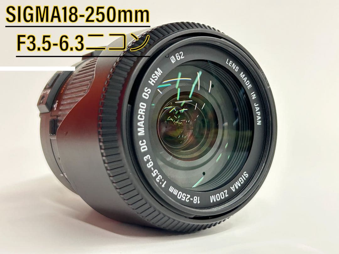 近くも遠くも撮れる高倍率レンズSIGMA18-250mm F3.5-6.3ニコン