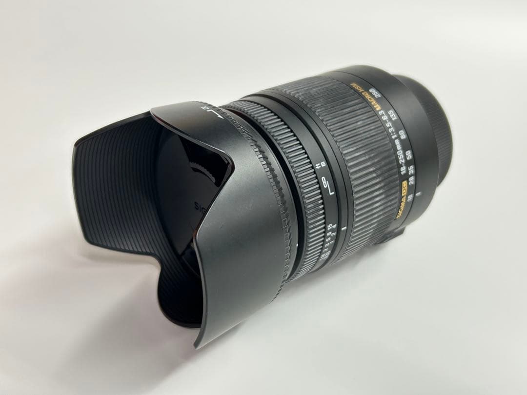 近くも遠くも撮れる高倍率レンズSIGMA18-250mm F3.5-6.3ニコン