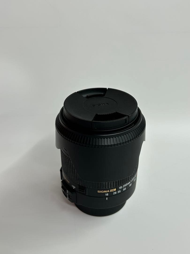 近くも遠くも撮れる高倍率レンズSIGMA18-250mm F3.5-6.3ニコン