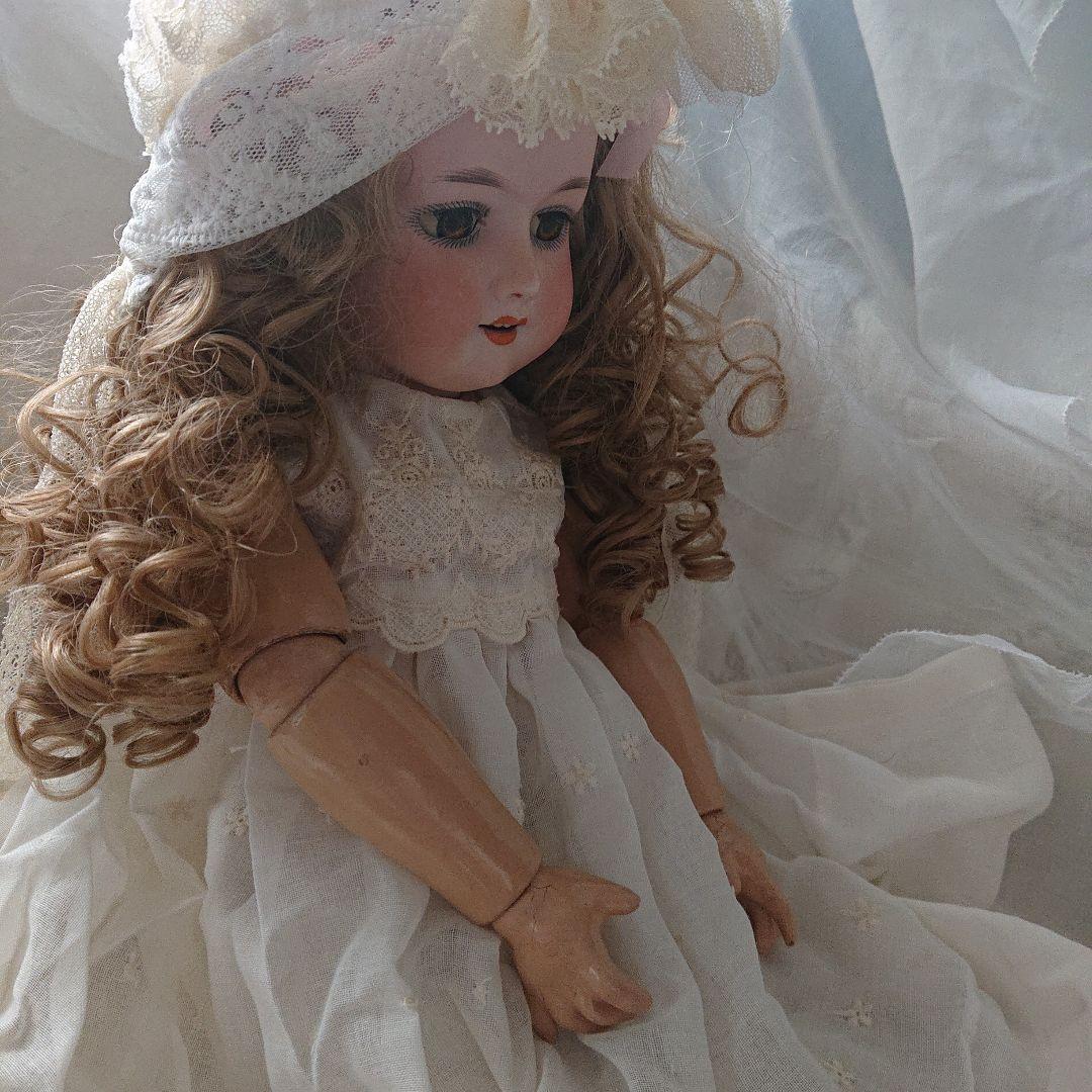 ルイス　アンバーグ　51㌢