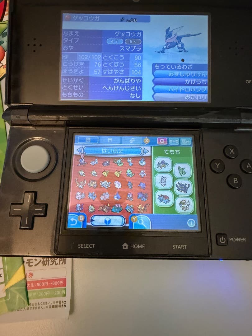 ポケモン　ムーン　ソフト　配布多数　チラシ付き