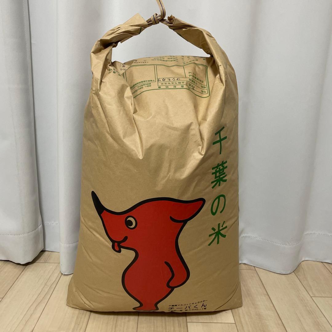 千葉県産　コシヒカリ　玄米　30キロ　令和7年