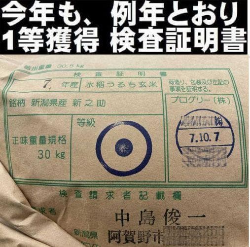 令和7年産　新潟　新之助　白米5キロ2個（5kg×2)1０キロ精米無料★農家直送