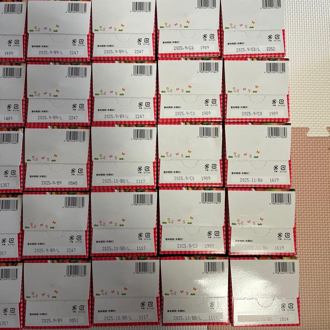 和光堂　BIGサイズの栄養マルシェ　45箱　まとめ売り