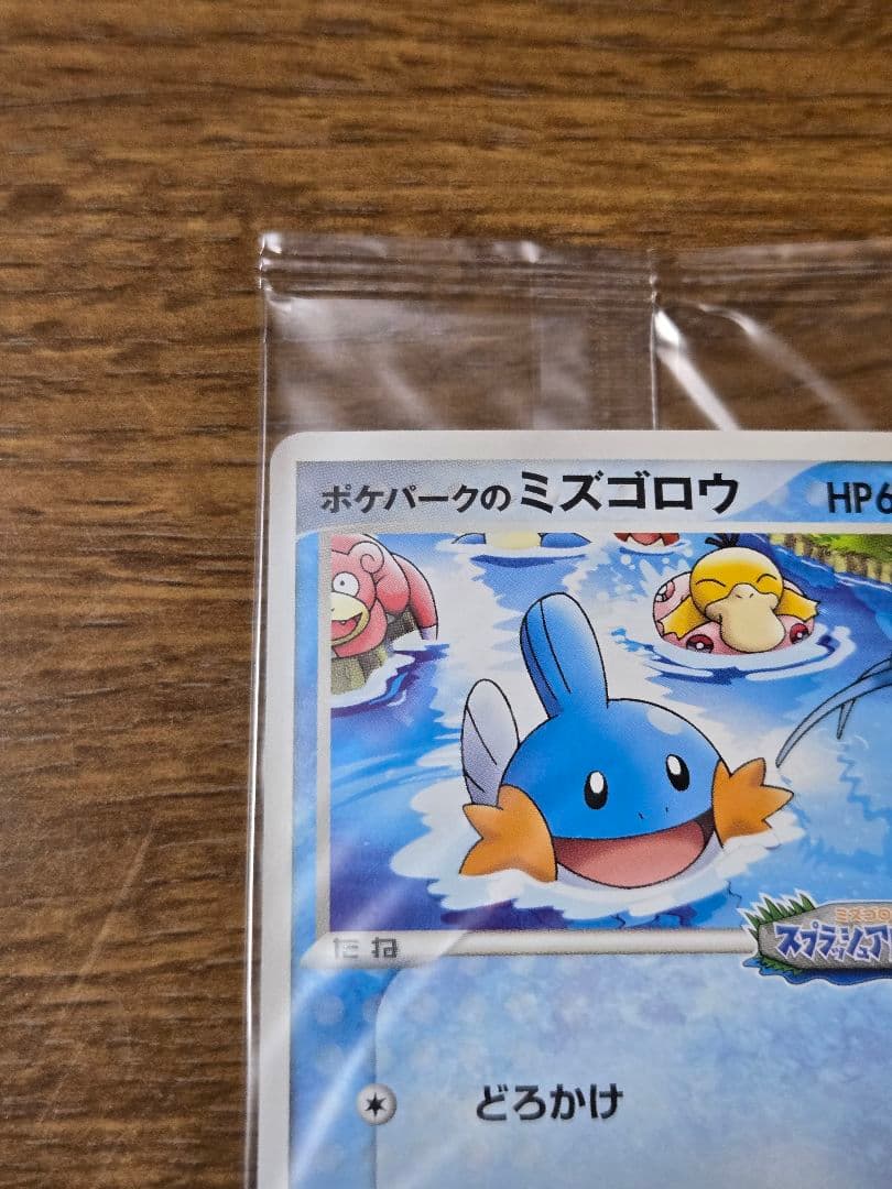 ポケパークのミズゴロウ プロモ 048/PCG-P ポケモンカード