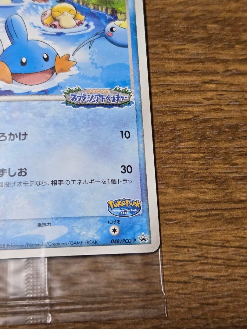 ポケパークのミズゴロウ プロモ 048/PCG-P ポケモンカード
