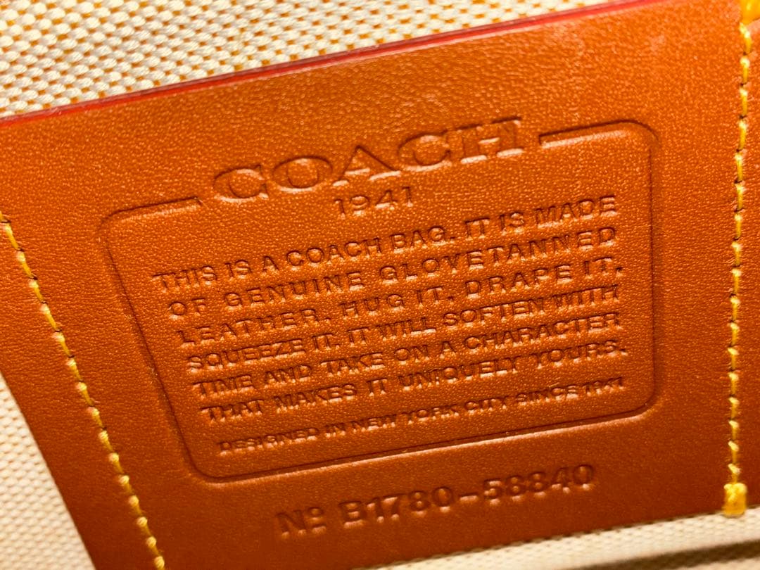 コーチローグ25 ティーローズ