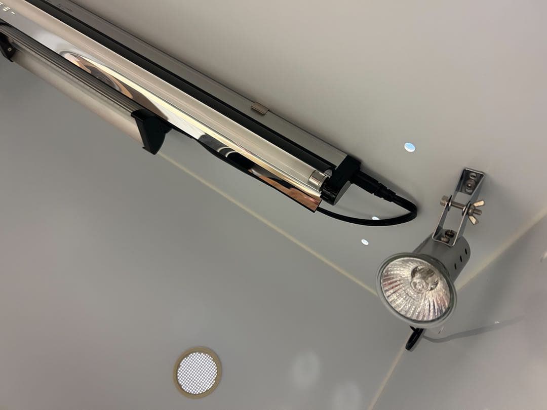 【美品】【匿名配送】ポポのケージ　フトアゴヒゲトカゲ　爬虫類