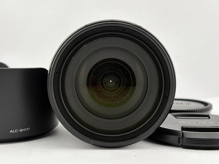 ★美品★ ソニー DT 16-50mm F2.8 SSM SAL1650