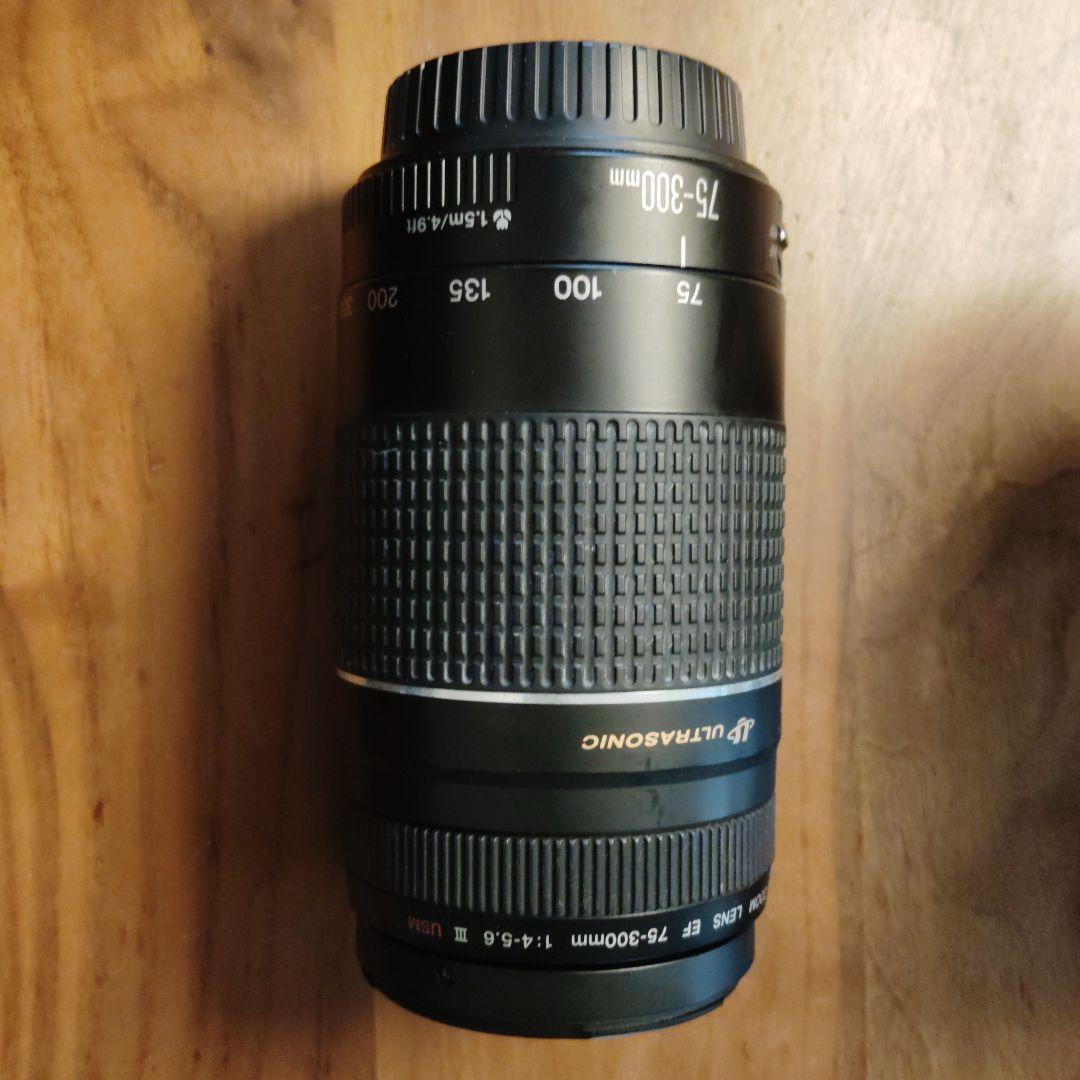 Canon EOS Kiss Digital N デジタル一点物お買い得最終