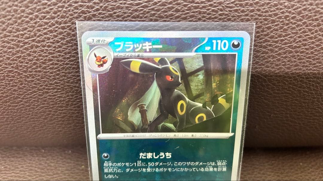 マスターボール ブラッキー