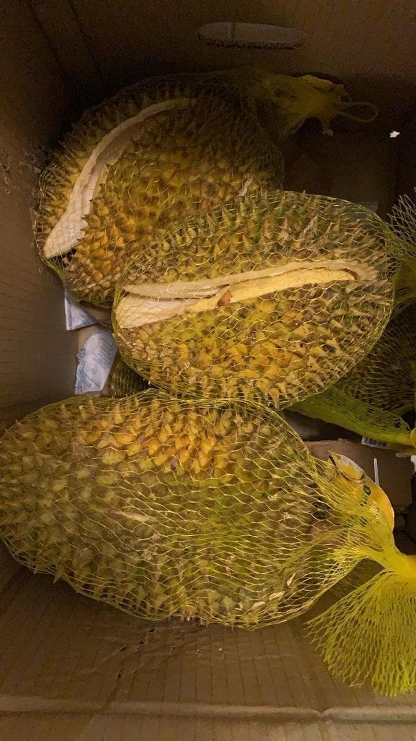 訳有タイ産ドリアン　泰国榴莲　10ｋｇ前後発送