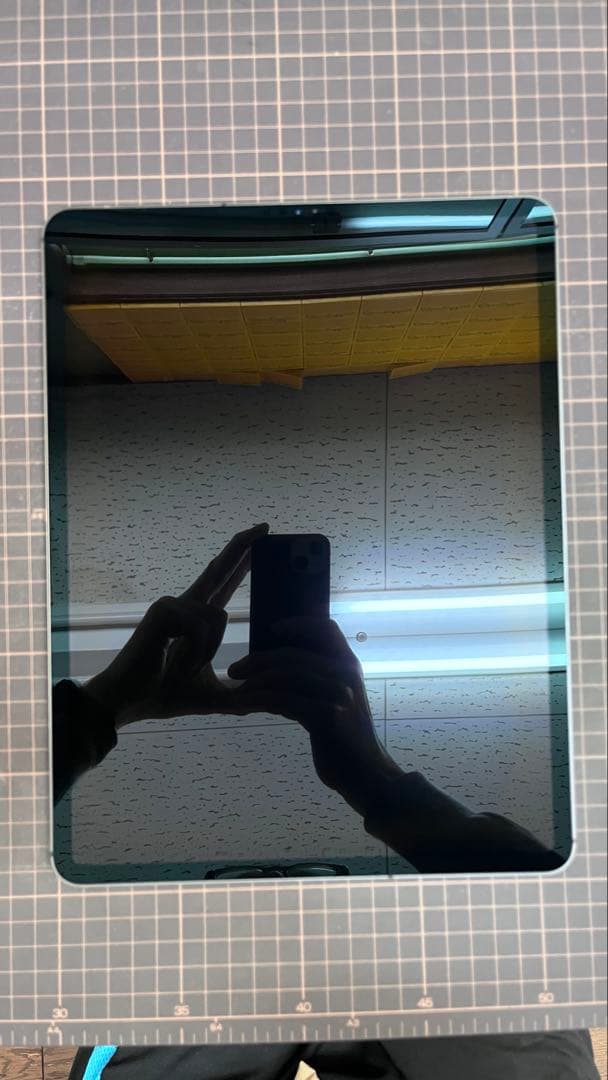 Apple iPad Pro 12.9 スペースグレー 第3世代 256GB