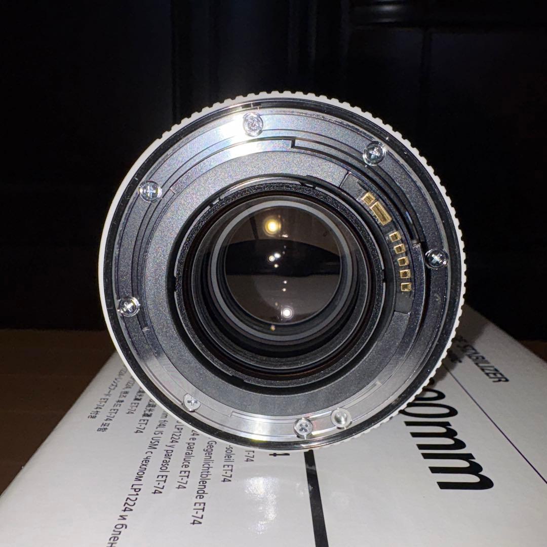 Canon EF70-200 f4L IS＋ Extender EF1.4×Ⅲ