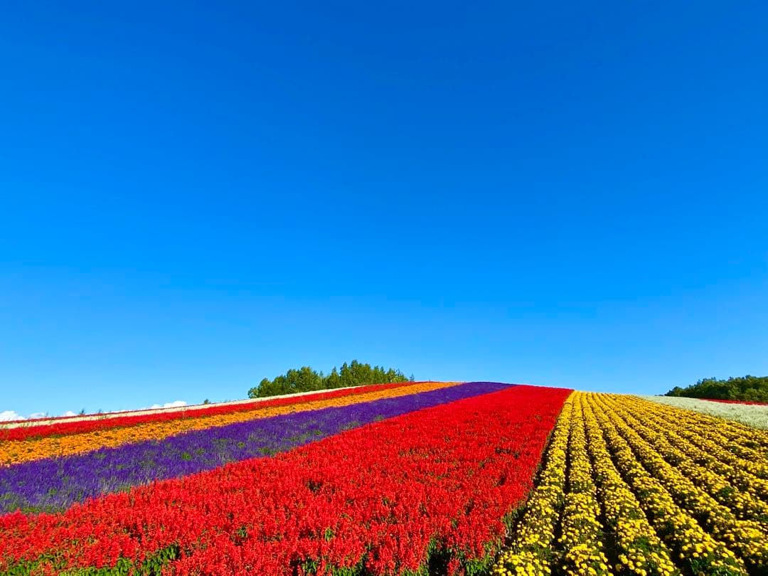 一眼レフスターターセット　Nikon D5300 + 1倍レンズセット