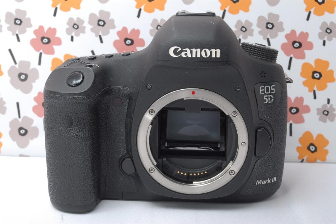 ❤Canon EOS 5D MarkⅢ❤カメラバッグ付き❤美品❤ショット数少ない