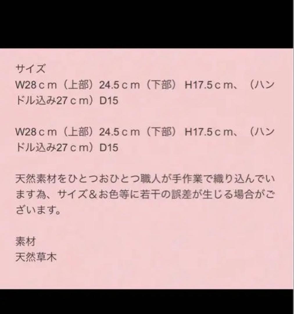 Vaquiaux ピクニックかごバッグインバック付き２点
