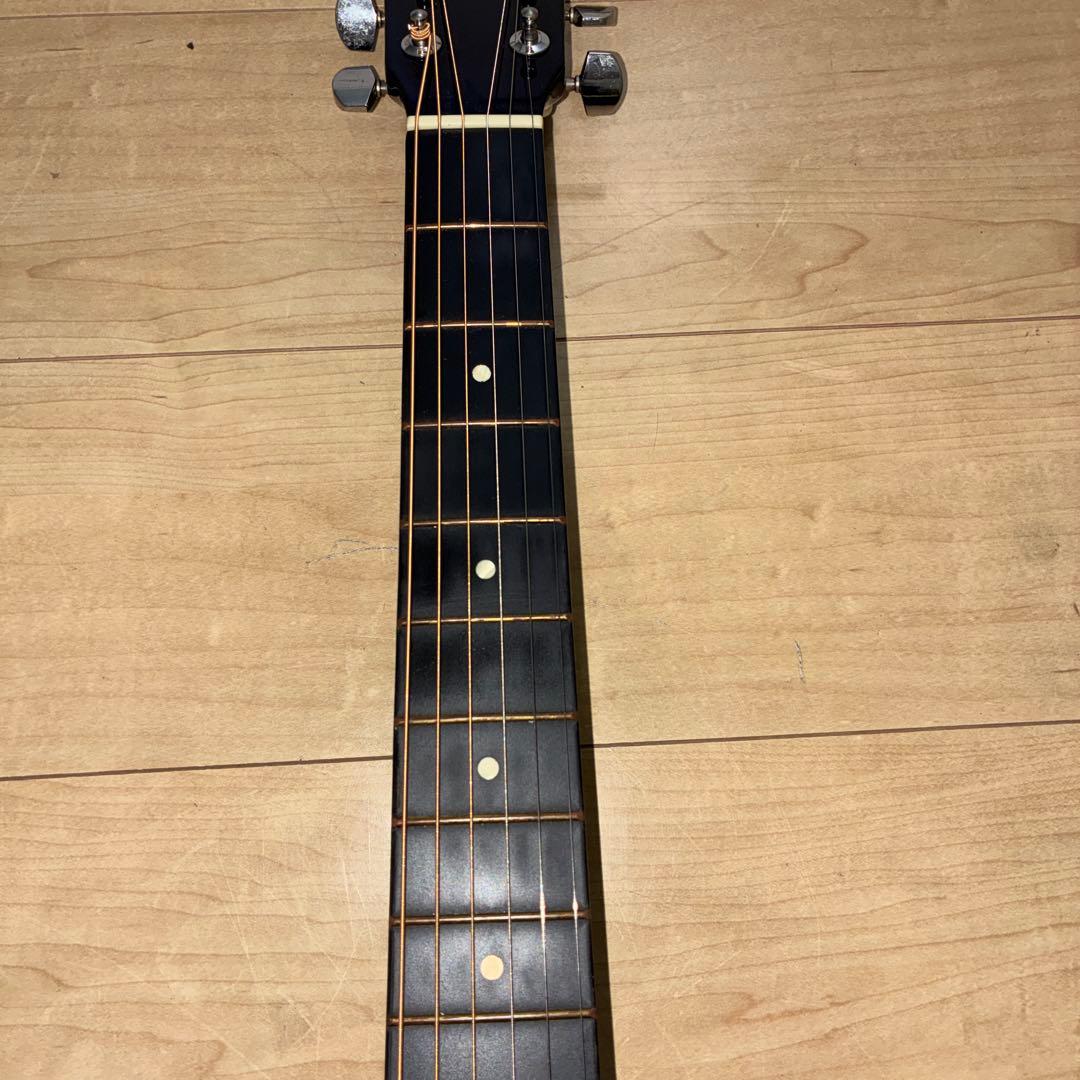 弦新品/HONEY BEE F-15 ハニービー アコースティックギター