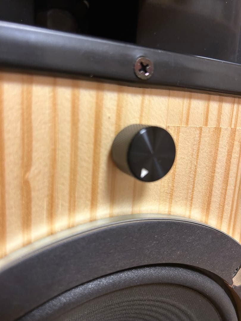 自作スピーカー ホーンツイーター2WAYバスレフ型