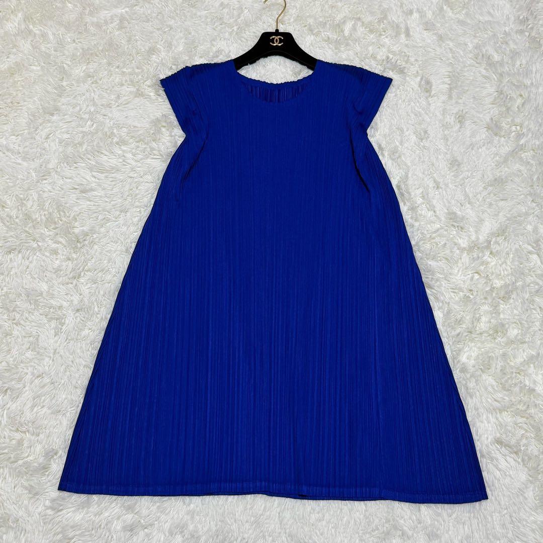 極美品 プリーツプリーズ フレンチスリーブ チュニック Aライン フレア ブルー