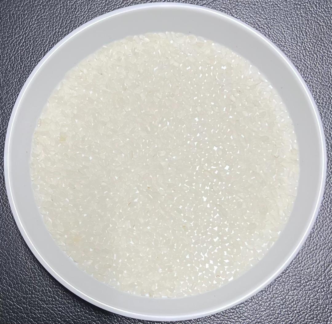 一等検査 特別栽培米 令和7年産 京都 丹後 コシヒカリ 白米 約18kg