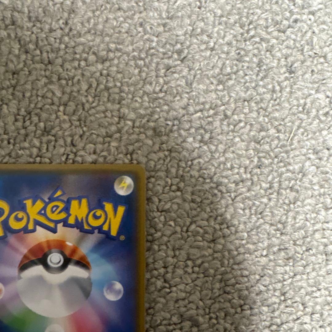 ポンチョを着たイーブイ リーフィア