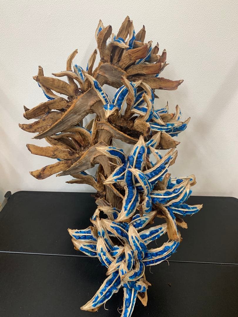 旅人の木A級品 ７節