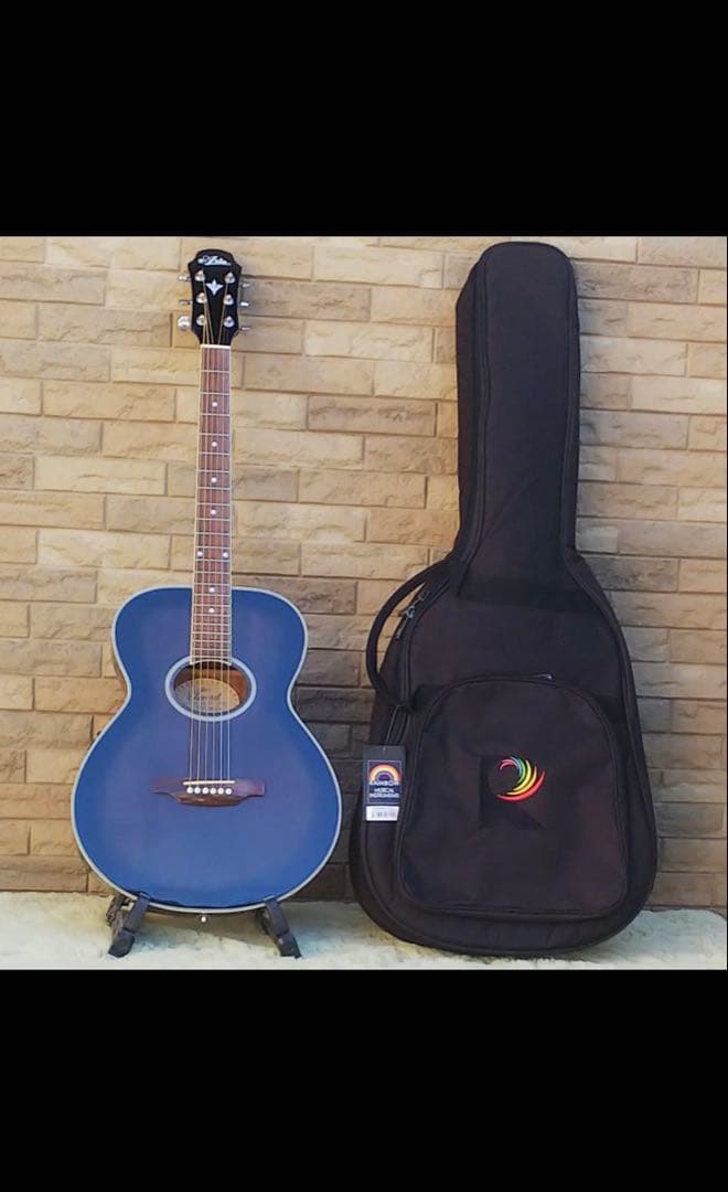 【弦高調整・メンテナンス済み‼️】 アコースティックギター アリア ／ エレアコ