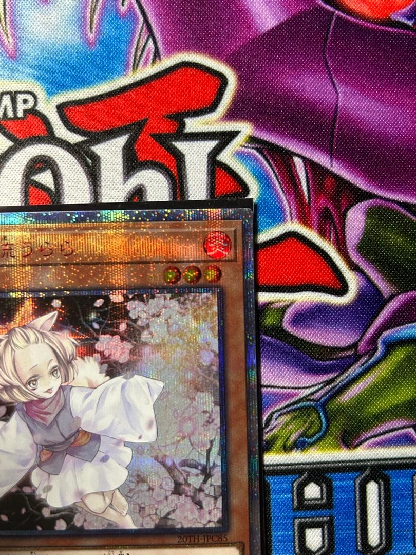 ド*ん様 遊戯王　灰流うらら　20th