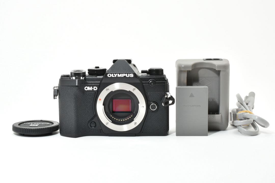 【ショット数2501回】OLYMPUS OM-D E-M5 Mark III