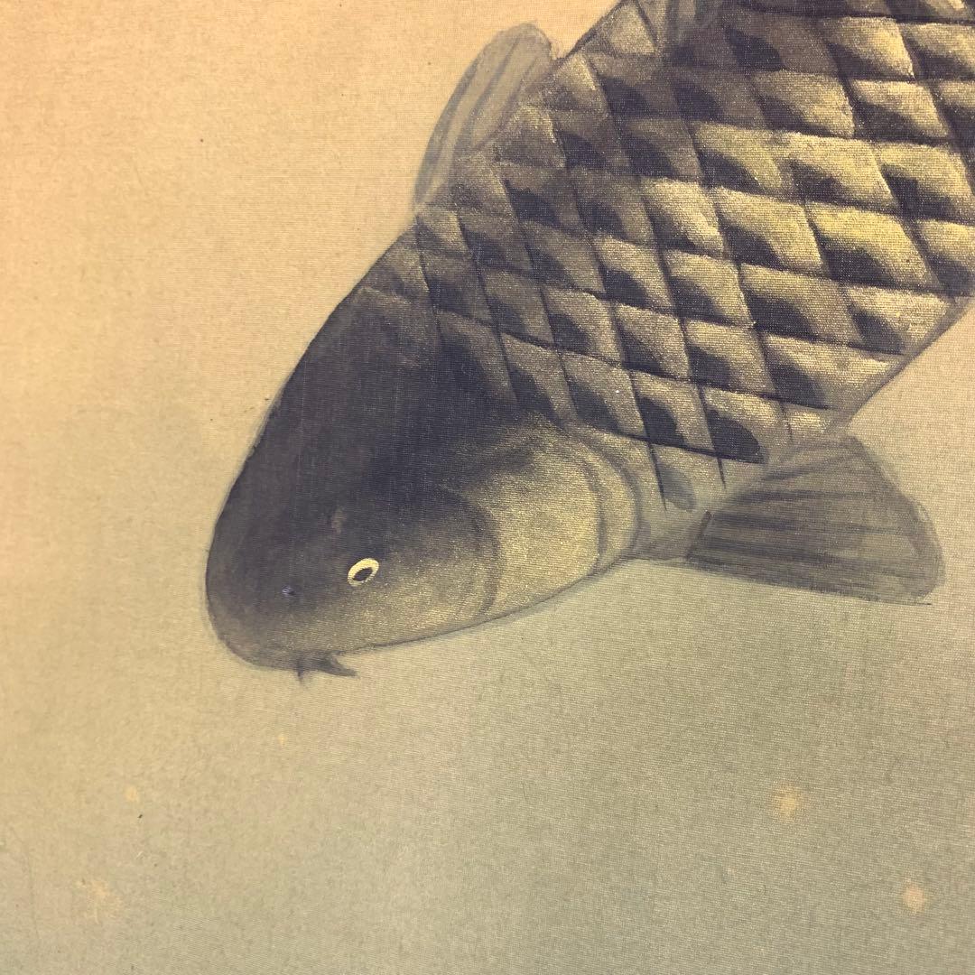 掛軸 小堀墨秀 遊鯉 共箱 二重箱仕立て 魚 縁起 松鯉 勝利 出世 A-20