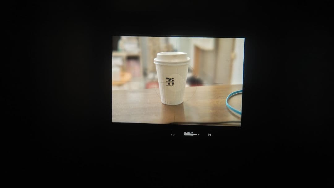 Nikon F2フォトミックブラック2023オーバーホール済　希少Pスクリーン付